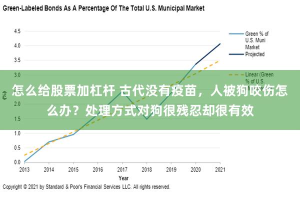 怎么给股票加杠杆 古代没有疫苗，人被狗咬伤怎么办？处理方式对狗很残忍却很有效