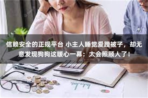 信赖安全的正规平台 小主人睡觉爱蹬被子，却无意发现狗狗这暖心一幕：太会照顾人了！