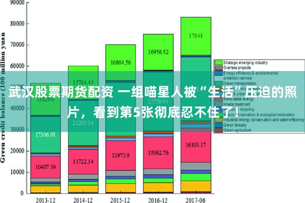 武汉股票期货配资 一组喵星人被“生活”压迫的照片，看到第5张彻底忍不住了！