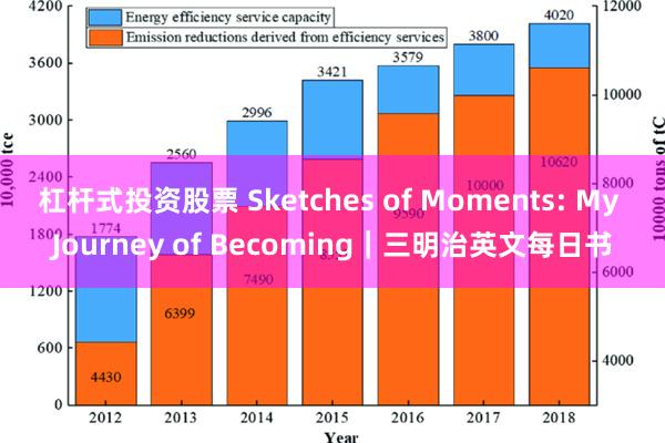 杠杆式投资股票 Sketches of Moments: My Journey of Becoming｜三明治英文每日书