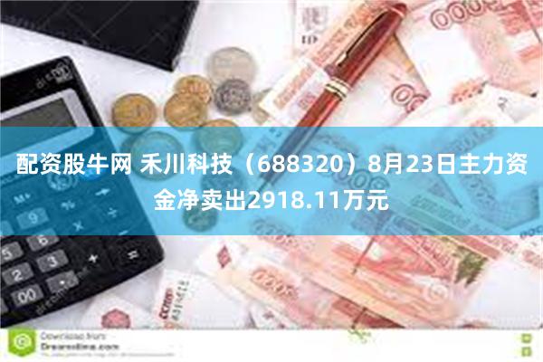 配资股牛网 禾川科技（688320）8月23日主力资金净卖出2918.11万元