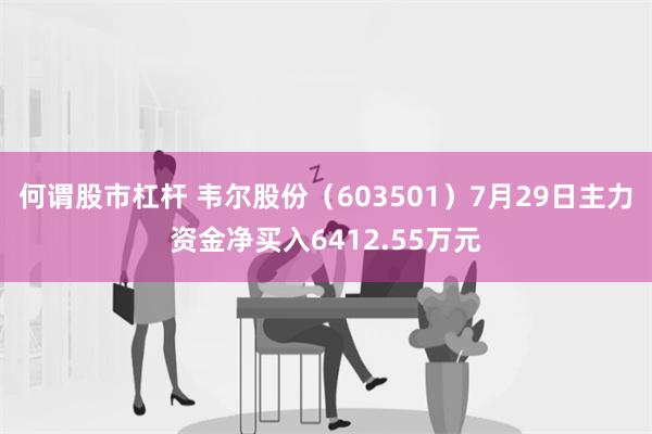 何谓股市杠杆 韦尔股份（603501）7月29日主力资金净买入6412.55万元