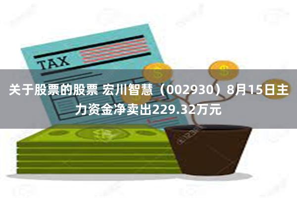 关于股票的股票 宏川智慧（002930）8月15日主力资金净卖出229.32万元