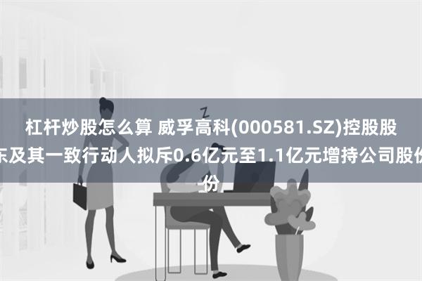 杠杆炒股怎么算 威孚高科(000581.SZ)控股股东及其一致行动人拟斥0.6亿元至1.1亿元增持公司股份