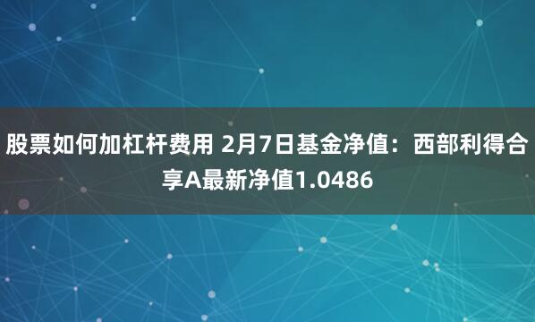 股票如何加杠杆费用 2月7日基金净值：西部利得合享A最新净值1.0486