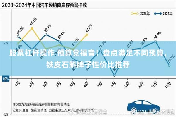 股票杠杆操作 预算党福音！盘点满足不同预算，铁皮石斛牌子性价比推荐