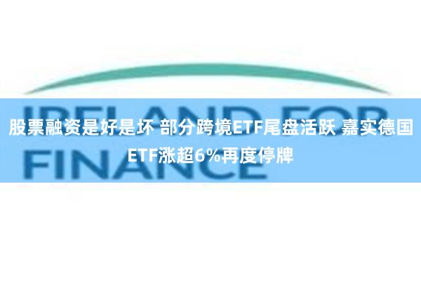 股票融资是好是坏 部分跨境ETF尾盘活跃 嘉实德国ETF涨超6%再度停牌